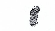 Image implosion community